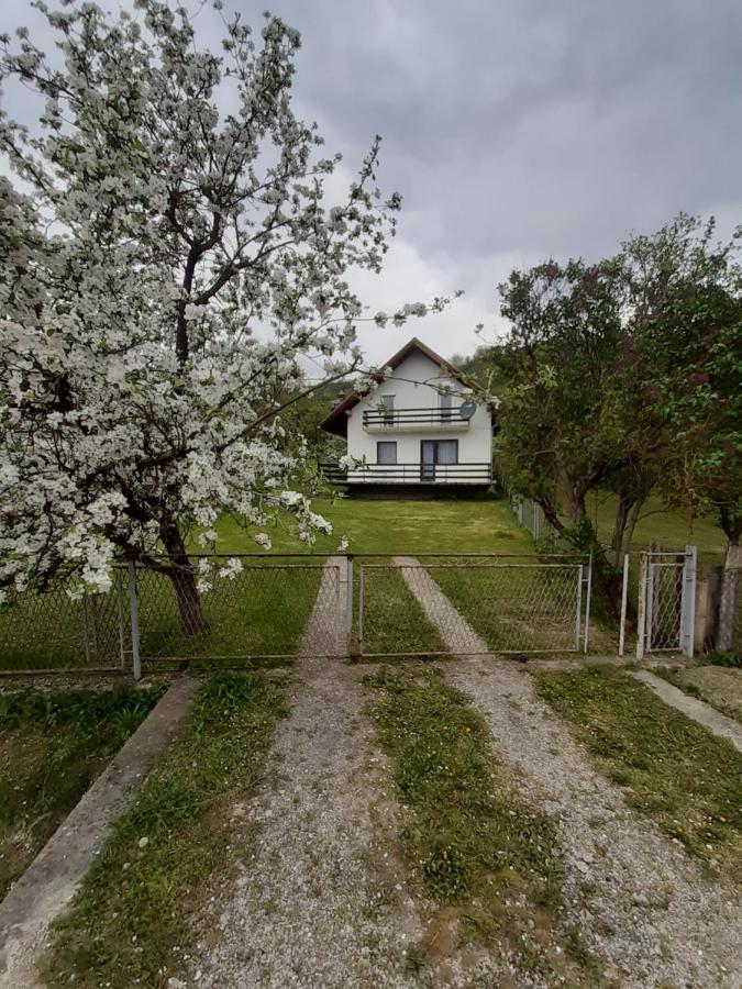Apartman Djokovic Mokra Gora Exterior photo